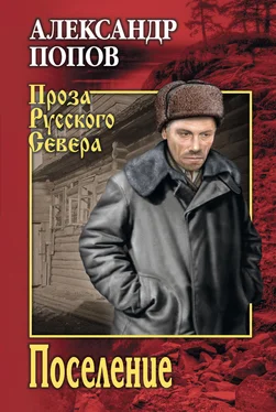 Александр Попов Поселение обложка книги