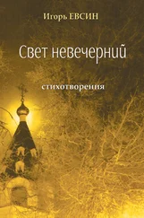 Игорь Евсин - Свет невечерний. Стихотворения