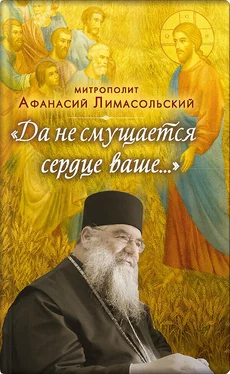 митрополит Афанасий Лимасольский Да не смущается сердце ваше обложка книги