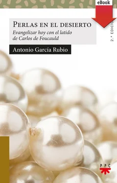 Antonio García Rubio Perlas en el desierto обложка книги