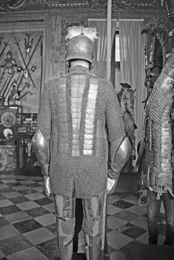 Рис 317 Вид доспеха сзади Все металлические пластины покрыты арабскими - фото 317