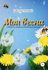 Александр Белышев - Моя весна