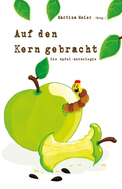 Martina Meier Auf den Kern gebracht обложка книги