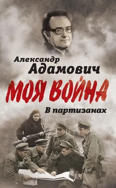 Алесь Адамович В партизанах обложка книги