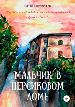 Сергей Луначарский Мальчик в персиковом доме обложка книги