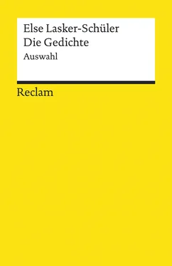 Else Lasker-Schüler Die Gedichte. Auswahl обложка книги