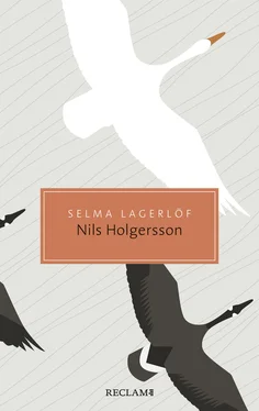 Selma Lagerlöf Nils Holgerssons wunderbare Reise durch Schweden обложка книги