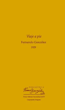 Fernando González Viaje a pie 1929 обложка книги