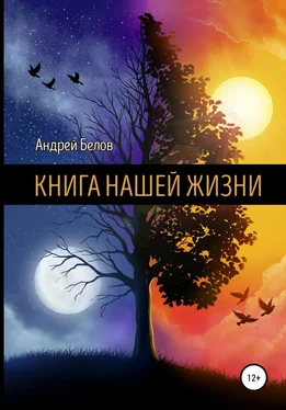 Андрей Белов Книга Нашей Жизни обложка книги