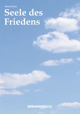 Martin Fieber Seele des Friedens обложка книги