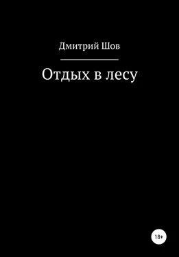 Дмитрий Шов Отдых в лесу обложка книги