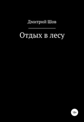 Дмитрий Шов - Отдых в лесу