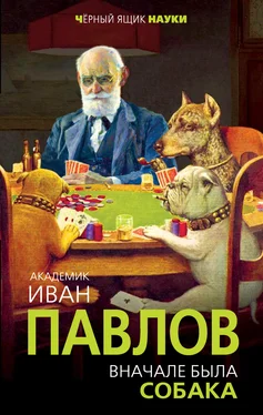 Иван Павлов Вначале была собака. Двадцать лет экспериментов обложка книги