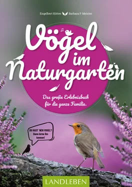 Engelbert Kötter Vögel im Naturgarten обложка книги