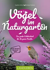 Engelbert Kötter - Vögel im Naturgarten