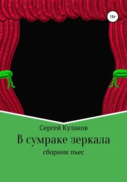 Сергей Кулаков В сумраке зеркала обложка книги
