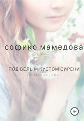 Софико Мамедова - Под белым кустом сирени