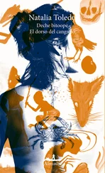 Natalia Toledo - Deche bitoope / El dorso del cangrejo