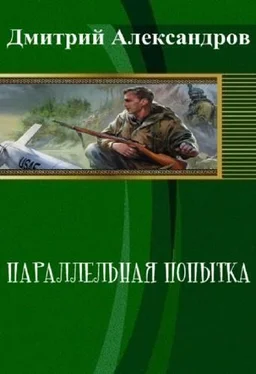Дмитрий Александров Параллельная попытка (СИ) обложка книги