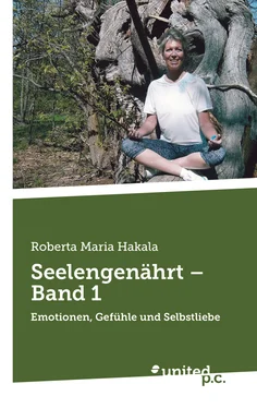 Roberta Maria Hakala Seelengenährt – Band 1 обложка книги
