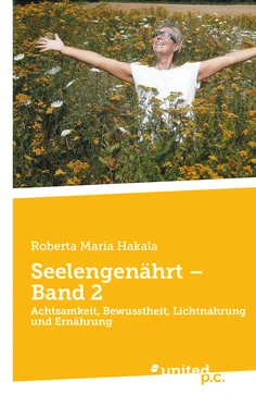 Roberta Maria Hakala Seelengenährt – Band 2 обложка книги