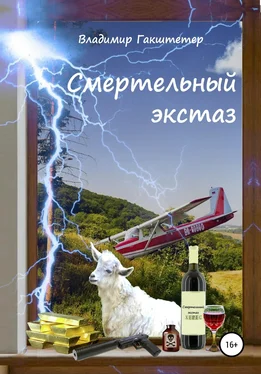 Владимир Гакштетер Смертельный экстаз обложка книги