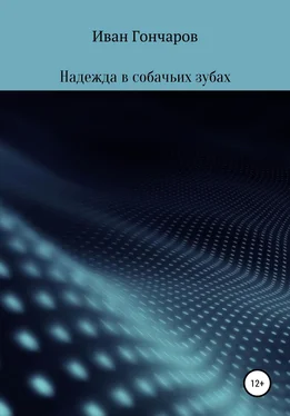 Иван Гончаров Надежда в собачьих зубах обложка книги