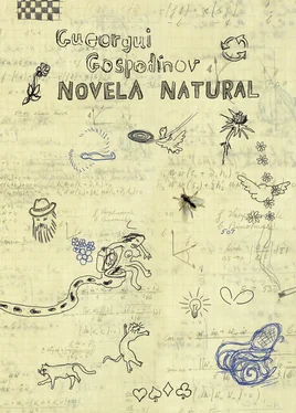 Gueorgui Gospodínov Novela natural обложка книги