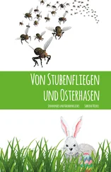 Sabrina Nickel - Von Stubenfliegen und Osterhasen