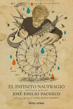 Laura Emilia Pacheco El infinito naufragio обложка книги