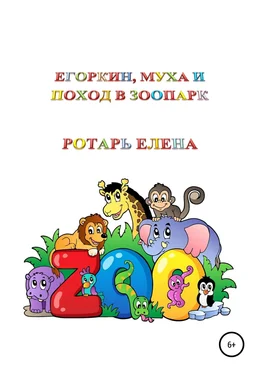 Ротарь Елена Егоркин, Муха и поход в зоопарк обложка книги