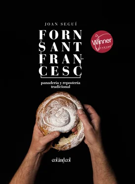 Joan Seguí Forn Sant Francesc обложка книги