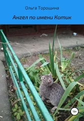 Ольга Торощина - Ангел по имени Котик