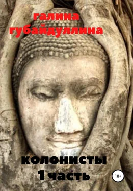 Галина Губайдуллина Колонисты обложка книги