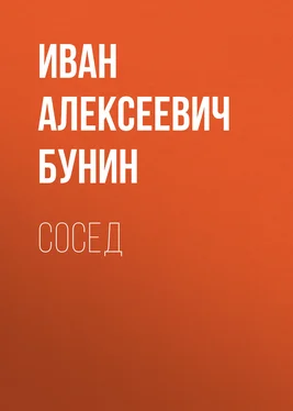Иван Бунин Сосед обложка книги