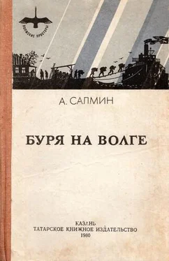 Алексей Салмин Буря на Волге обложка книги