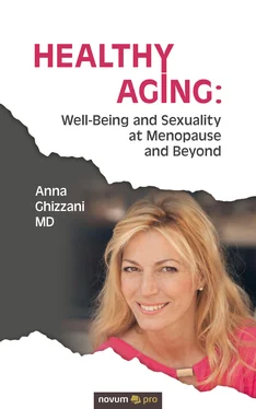 Anna Ghizzani Healthy Aging: Well-Being and Sexuality at Menopause and Beyond обложка книги