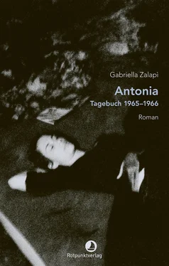 Gabriella Zalapì Antonia обложка книги