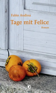 Fabio Andina Tage mit Felice обложка книги