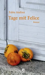 Fabio Andina - Tage mit Felice