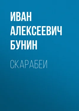 Иван Бунин Скарабеи обложка книги