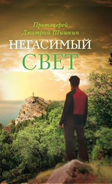 Димитрий Шишкин Негасимый свет. Рассказы и очерки обложка книги