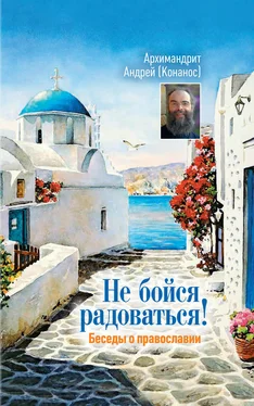 архимандрит Андрей Конанос Не бойся радоваться! Беседы о православии обложка книги