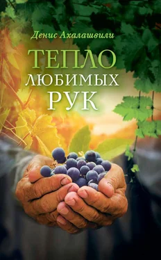 Денис Ахалашвили Тепло любимых рук обложка книги