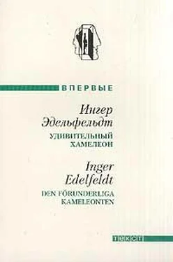 Ингер Эдельфельдт Удивительный хамелеон (Рассказы) обложка книги
