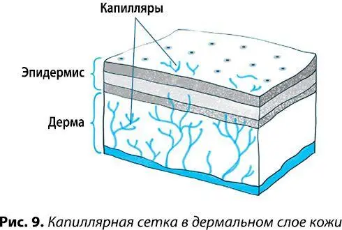 И опять упражнение Подтягиваем контур овала лица Прижмите середину языка к - фото 17