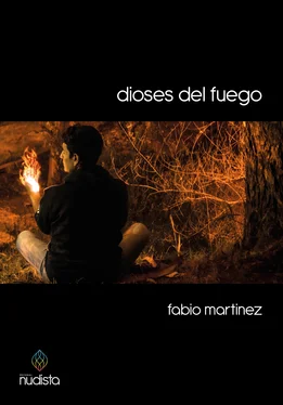 Fabio Martinez Dioses del fuego обложка книги