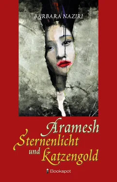 Barbara Naziri Aramesh обложка книги