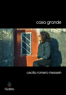 Cecilia Romero Messein Casa grande обложка книги