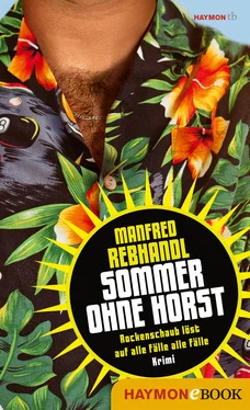 Manfred Rebhandl Sommer ohne Horst обложка книги